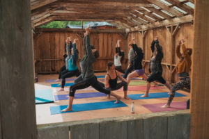 Picture of Tofino Yoga Teacher Training